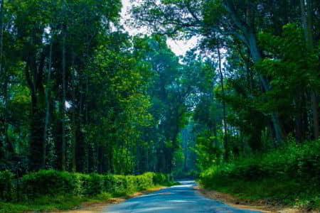 Most Famous Coorg Places - Mangalore Holidays